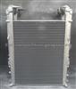 RENAULT Truck Intercooler 5010619582 7482358757 5001867853