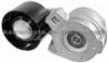 5010553993,5010284807 RENAULT Belt Tensioner