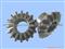 Straight bevel Gear 14