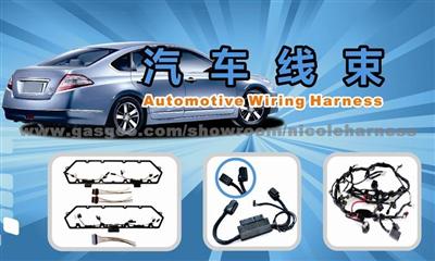 Wire Harness for Honda