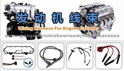 Wire Harness for Nissan