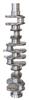 Crankshaft For Komatsu OEM: S6D125
