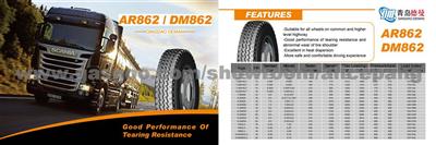 All Steel Radial TBR Tyre 13R22.5-DM862