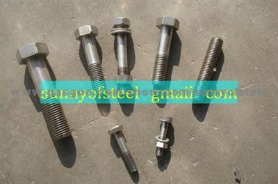 Alloy 800ht Fastener Bolt Nut Washer Gasket Screw