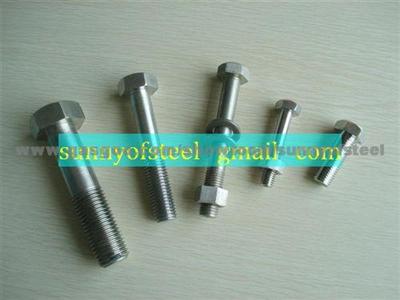 Alloy 825 Fastener Bolt Nut Washer Gasket Screw