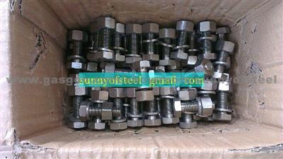 Alloy 25-6mo Fastener Bolt Nut Washer Gasket Screw