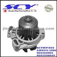 Auto Water Pump For AUDI/SEAT AIRTEX:AW9171/1303 HEPU:P534 DOLZ:A-158 QH:QCP2645 SIL:PA619P BUGATTI:PA0325 GRAF:PA383