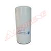 VG1560080012 HOWO Diesel Filter