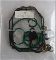 Repair Kit For VE Pump