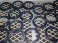 Low Coefficient Of Friction PA Sealing Ring