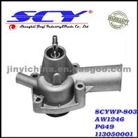 Auto Water Pump For SKODA HEPU:P649 AIRTEX:AW1246 DOLZ:S-191 BUGATTI:PA0046 QH:QCP2559 GRAF:PA316 113050001