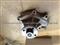1C010-73032 Water Pump