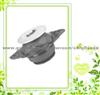 357 199 381C For VW Rubber Engine Mount