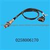 Oxygen Sensor 0258006170