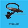 Oxygen Sensor 0258005302