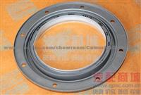 InsQSK19Crankshaft Rear Oil Seal 3160925