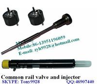 EJBR02101Z,EJBR04101D Delphi Common Rail Injector