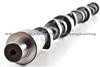 Deutz BF6M2012 Camshaft 04292883/04292884