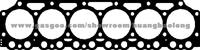 Deutz BF6M1013 Cylinder Head Gasket 04201559/04201560/04201561