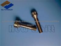 GR5 Titanium Lug Bolt