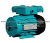 Elektrim High Performance Motor