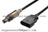 0258005079 Oxygen Sensor Audi