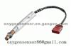 0258006296 Oxygen Sensor Audi