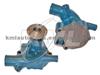 Water Pump WP6918 for NISSAN/DATSUN