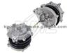 Water Pump WP6910 for NISSAN/DATSUN