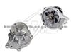 Water Pump WP6906 for NISSAN/DATSUN