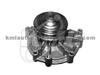 Water Pump WP1317 for PEUGEOT