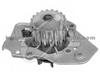 Water Pump WP1307 for PEUGEOT