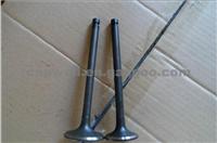 Popular Engine Valve 6D31 For Nissan