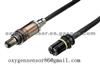 0258003748 Oxygen Sensor BMW