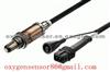 0258003004 Oxygen Sensor Peugeot