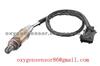 0258003717 Oxygen Sensor Peugeot