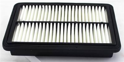 Air Filter 1109012U8010