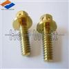 Titanium Car Screw