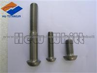 Hot Forged Titanium Screw GR5