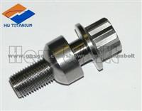 Titanium Lug Bolt