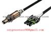 0258003189 Oxygen Sensor Renault