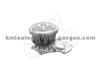 Water Pump WP6982 for NISSAN/DATSUN