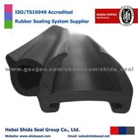 Co-Extruded Rubber Profiles