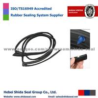 Automotive EPDM Door Seal