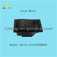 Rocker Switch 1U11137300018