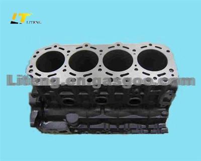 Cylinder Block Subassy 1002100-E06