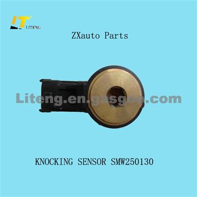 KNOCKING SENSOR SMW250130