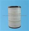 AF25129 Air Filter