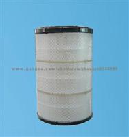 AF25129 Air Filter