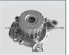 Water Pump For HONDA 19200-P2A-004